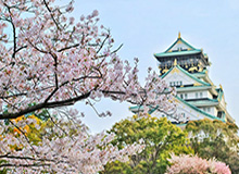 芒果体育登录入口-大决战之前的论战！佩雷拉的执着VS奥拉罗尤的自信